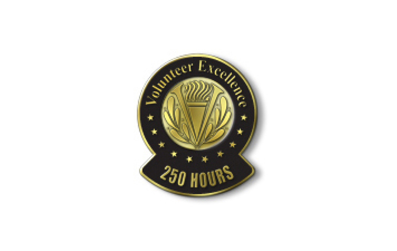 Volunteer Excellence - 250 Hours